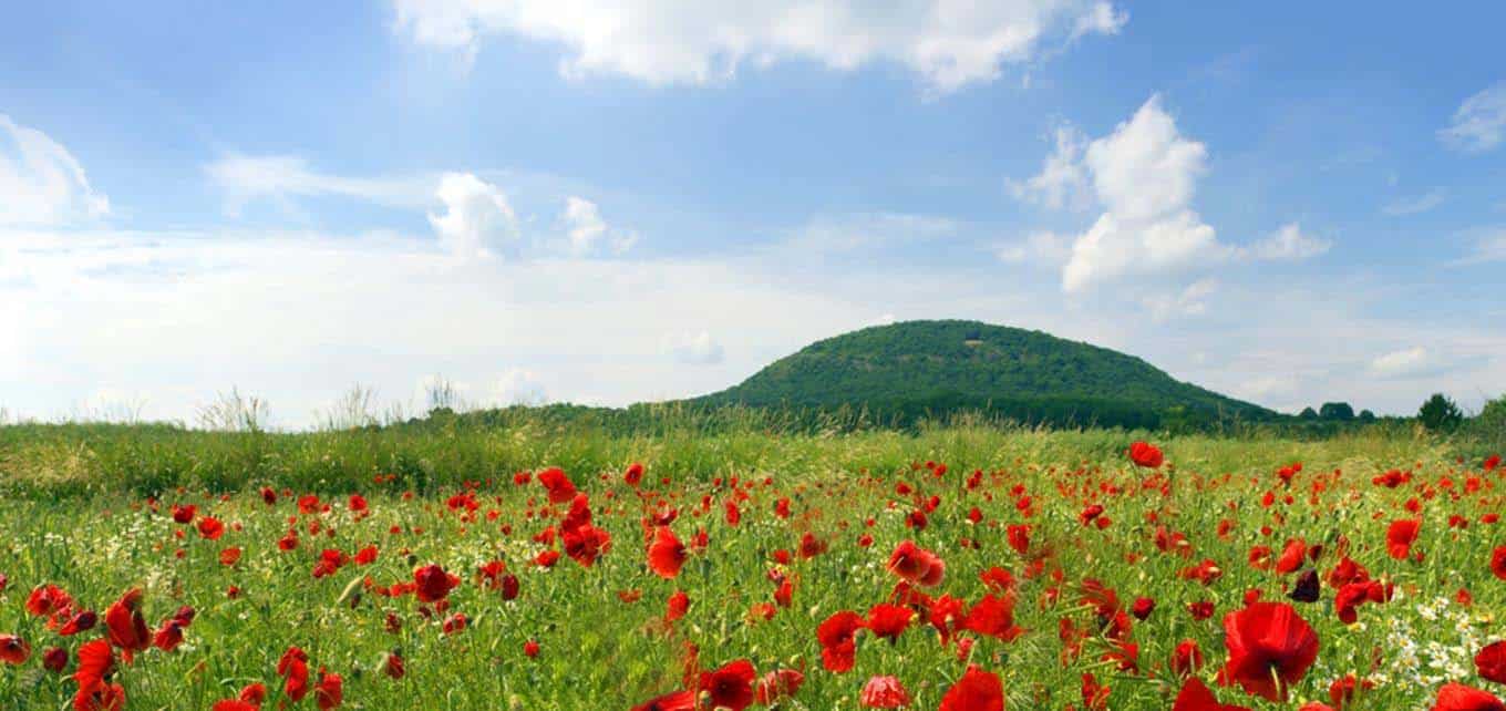 Amazing places in Czech Republic to plan your trip!