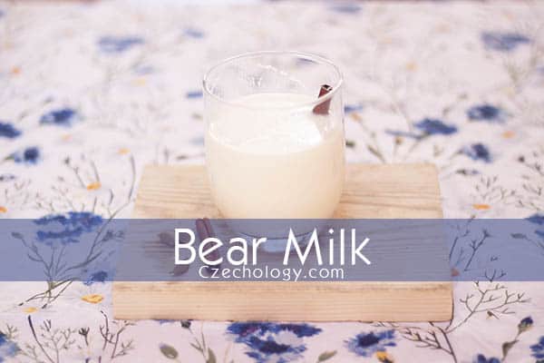 bear milk