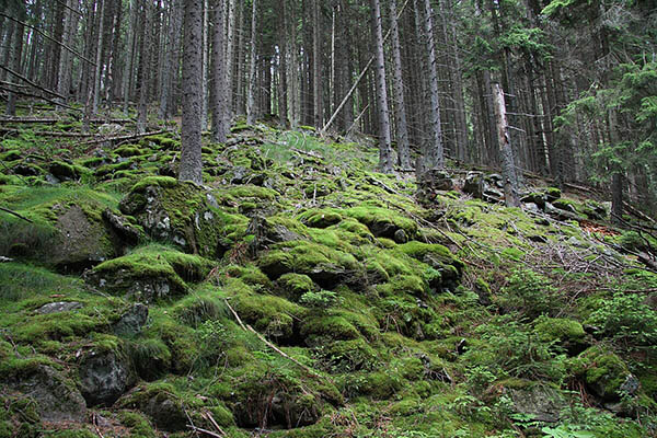 boubín natural sights