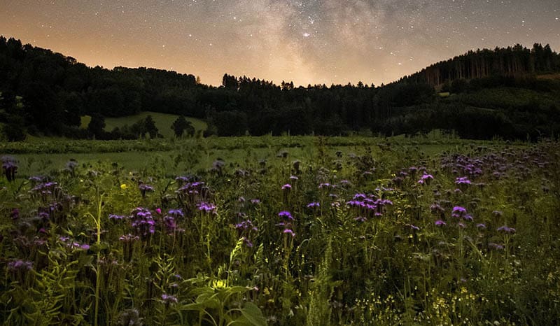 St. John’s Eve (Svatojánská noc) and Its Magic