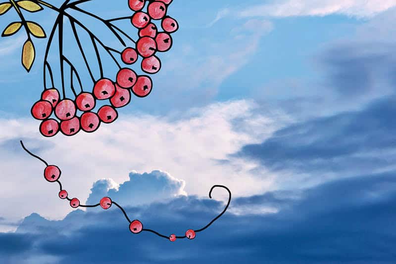 Czech Folkloric Traditions in August