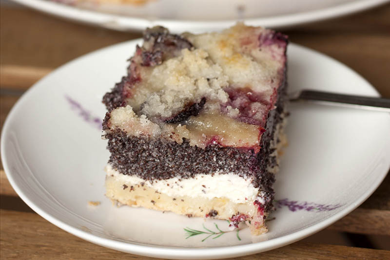 Švěstkový koláč (Plum Tart)